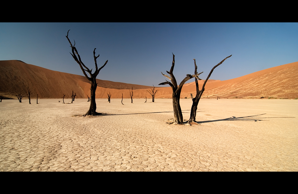 Dead Vlei