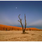 Dead Vlei