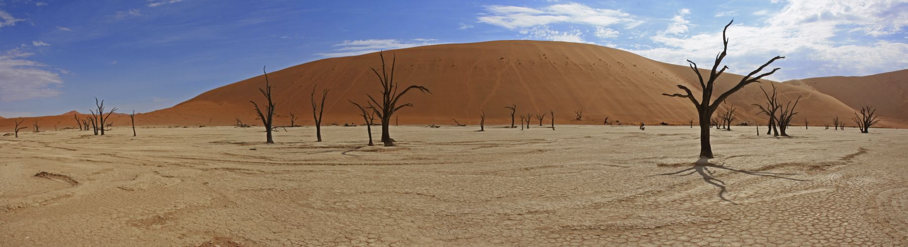 Dead Vlei