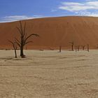 Dead Vlei