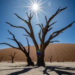 Dead Vlei