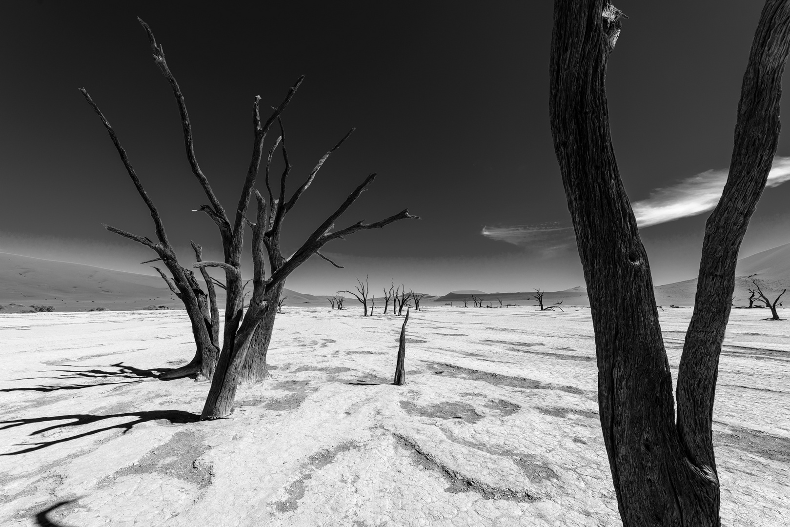 Dead Vlei