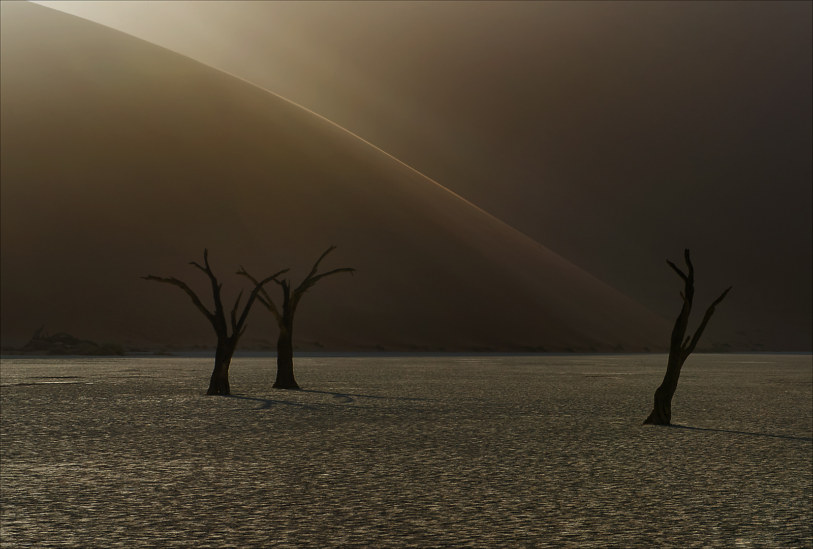 Dead Vlei