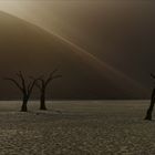 Dead Vlei