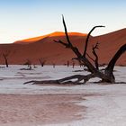 Dead Vlei