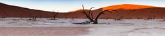 Dead Vlei