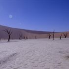 Dead Vlei 17 mm