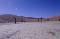 Dead Vlei 17 mm