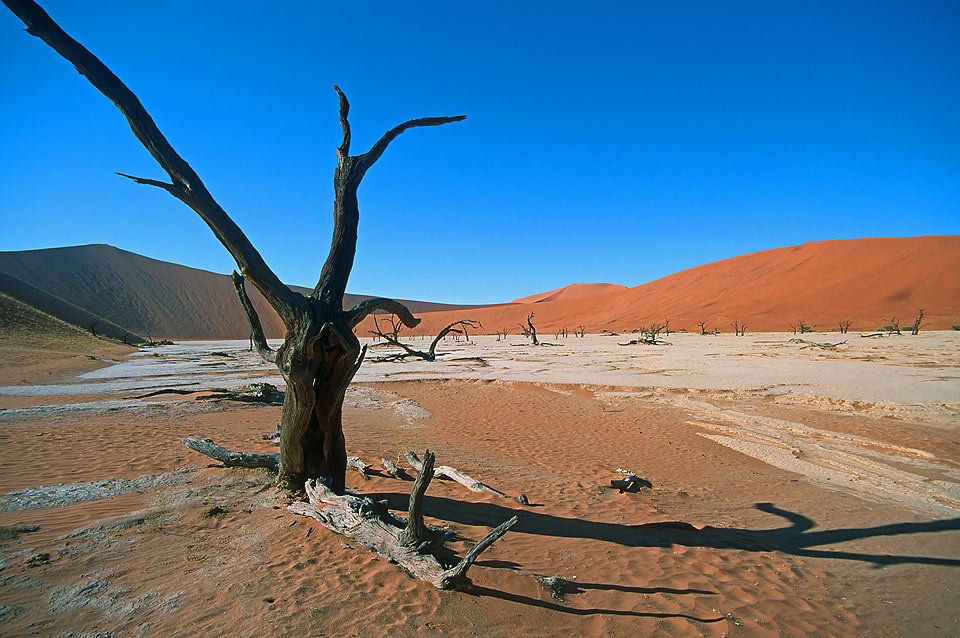 Dead Vlei 17mm