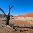 Dead Vlei 17mm