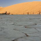 Dead Vlei