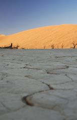 Dead Vlei