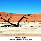 Dead Vlei