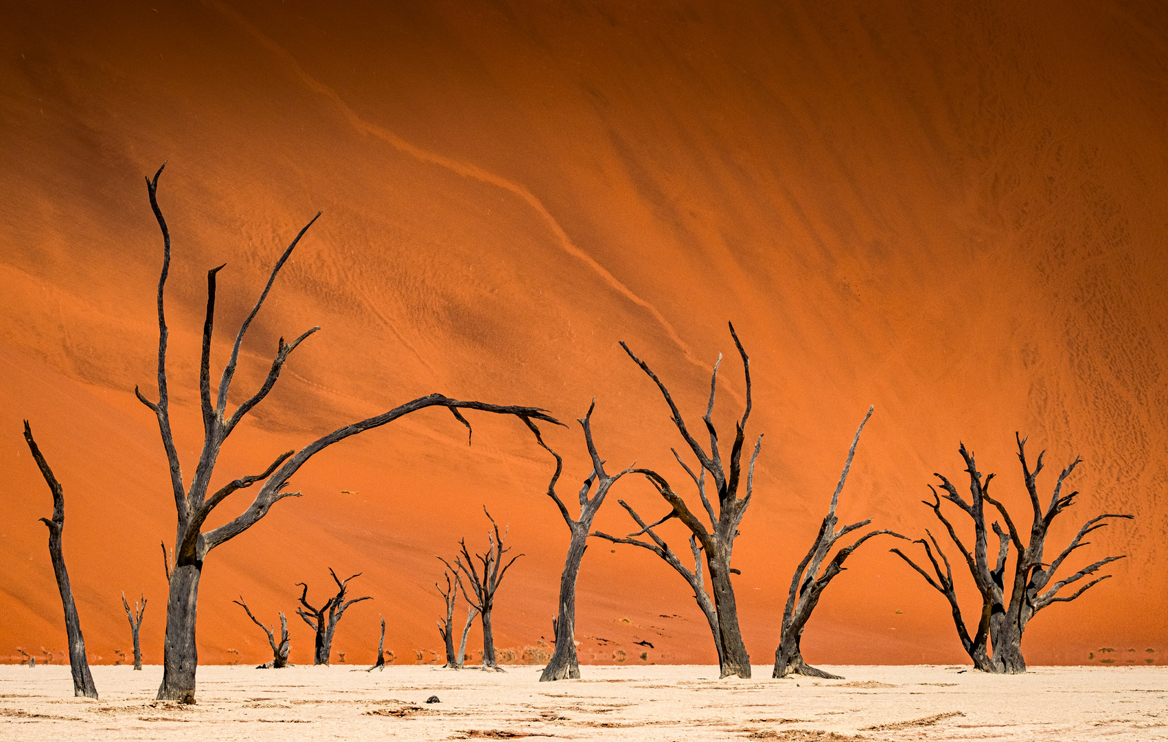 Dead Vlei