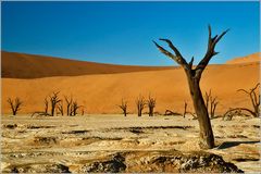 Dead Vlei