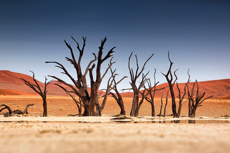 Dead Vlei