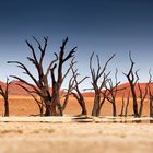 Dead Vlei