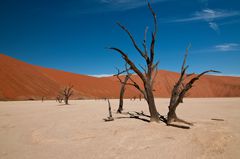 Dead Vlei 2