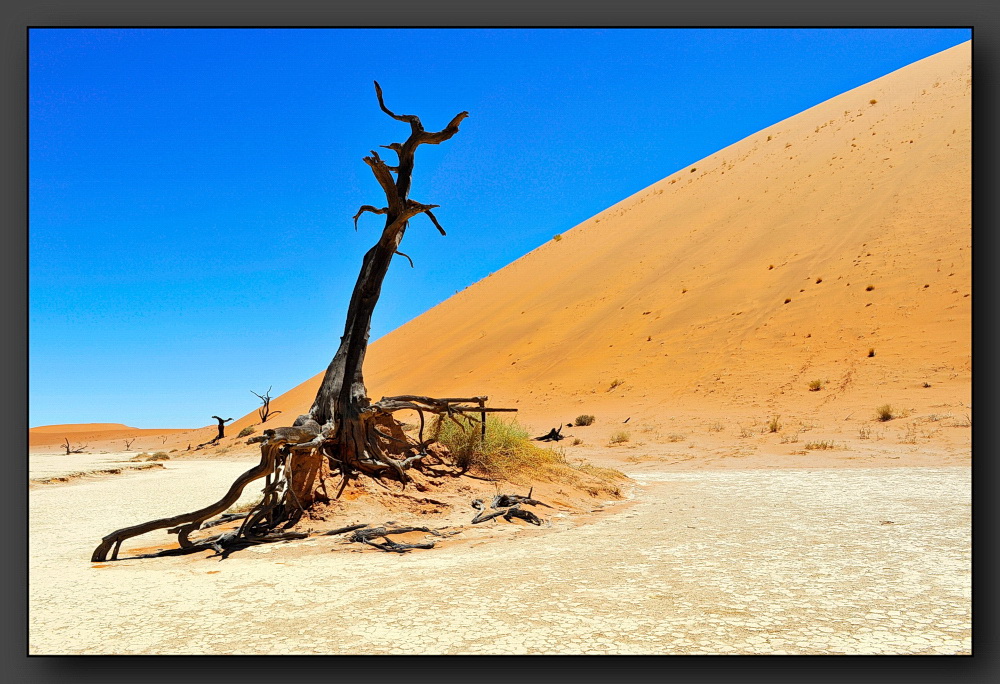 Dead Vlei 2