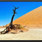 Dead Vlei 2