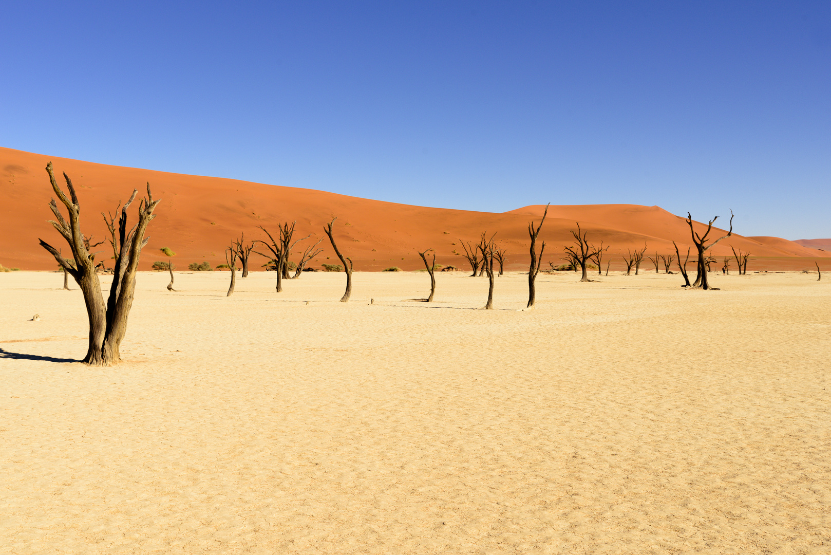 Dead Vlei 2