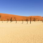 Dead Vlei 2