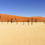 Dead Vlei 2