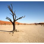 Dead Vlei #2