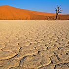 Dead Vlei #2