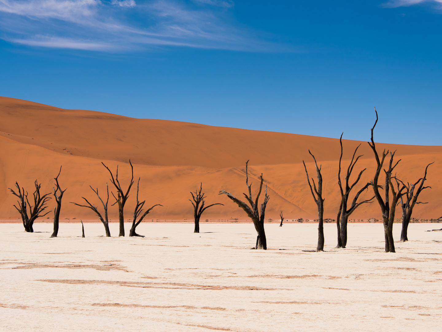 Dead Vlei 2