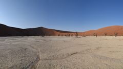 Dead Vlei 2