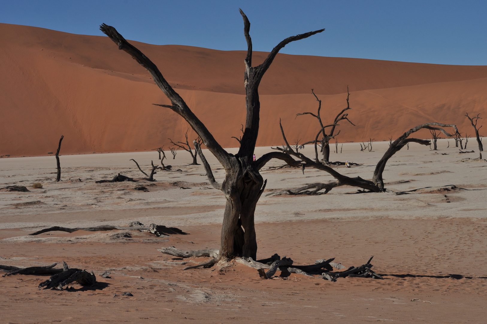 Dead Vlei 2