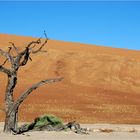 Dead Vlei # 2