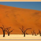 Dead Vlei 2