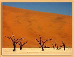 Dead Vlei 2