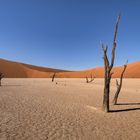 Dead Vlei #2