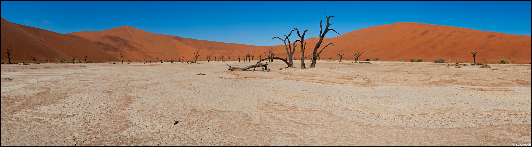 ...Dead Vlei #2