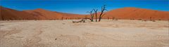 ...Dead Vlei #2