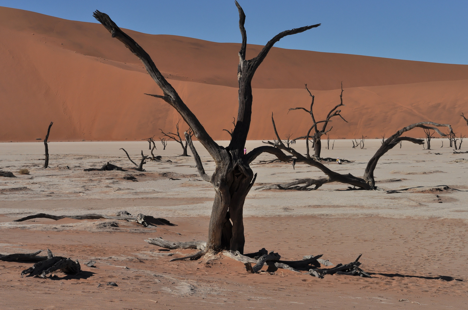 Dead Vlei 2 verbessert