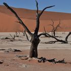 Dead Vlei 2 verbessert