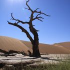 Dead Vlei