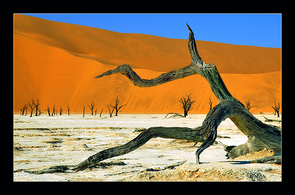 Dead Vlei