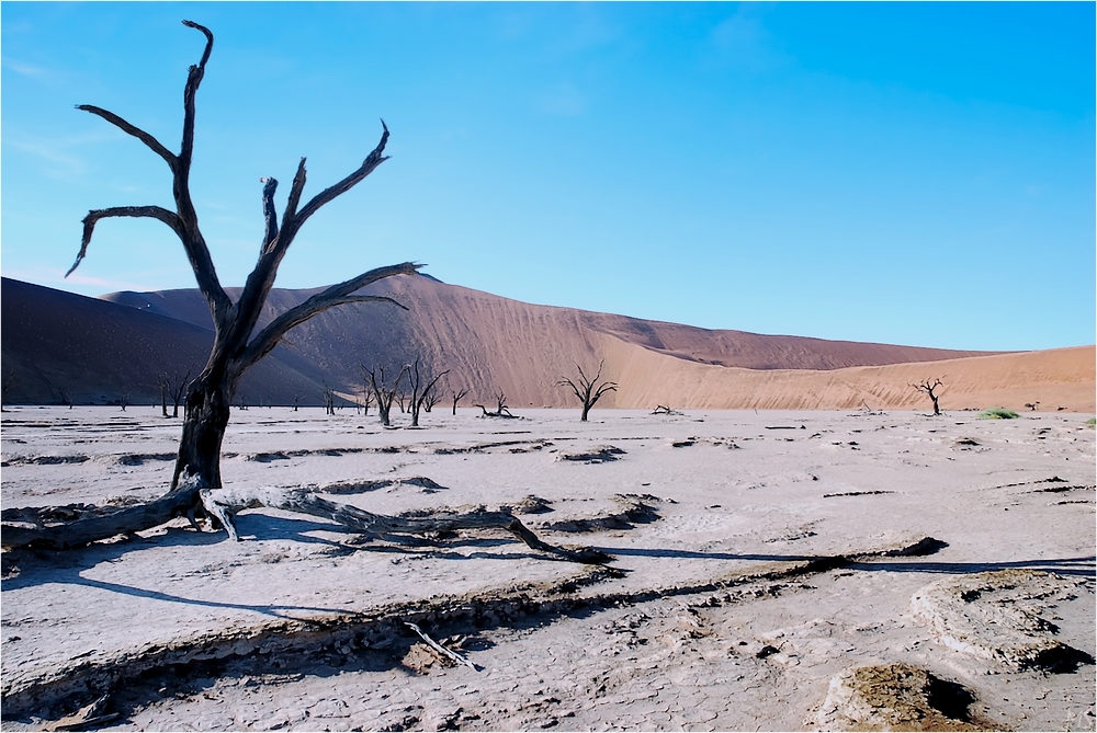 Dead Vlei