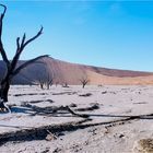 Dead Vlei