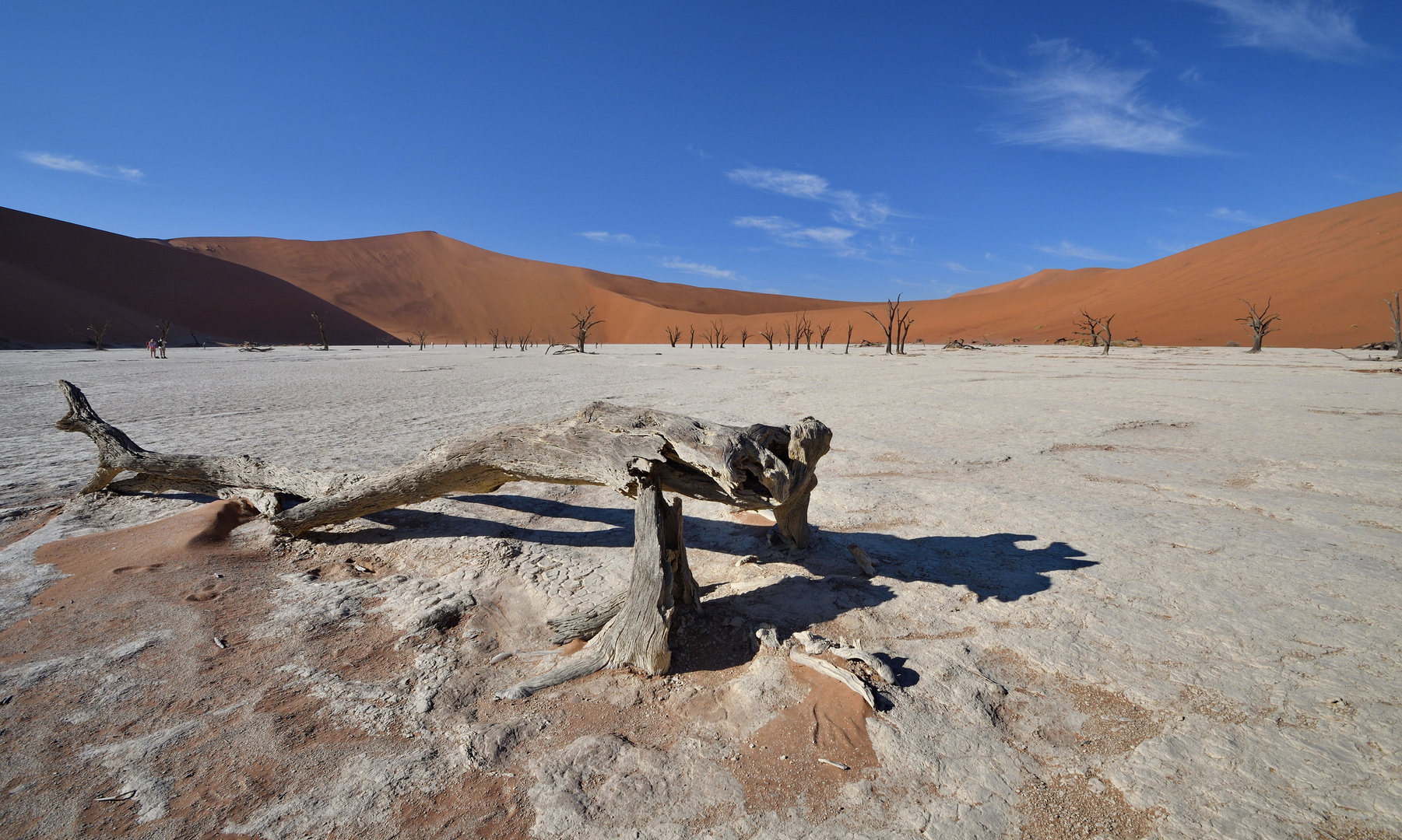 Dead Vlei