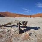 Dead Vlei