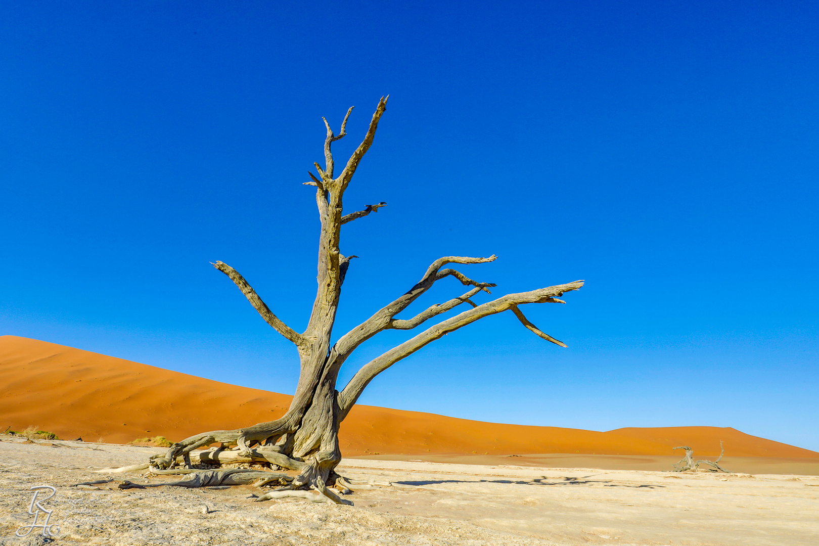 Dead Vlei