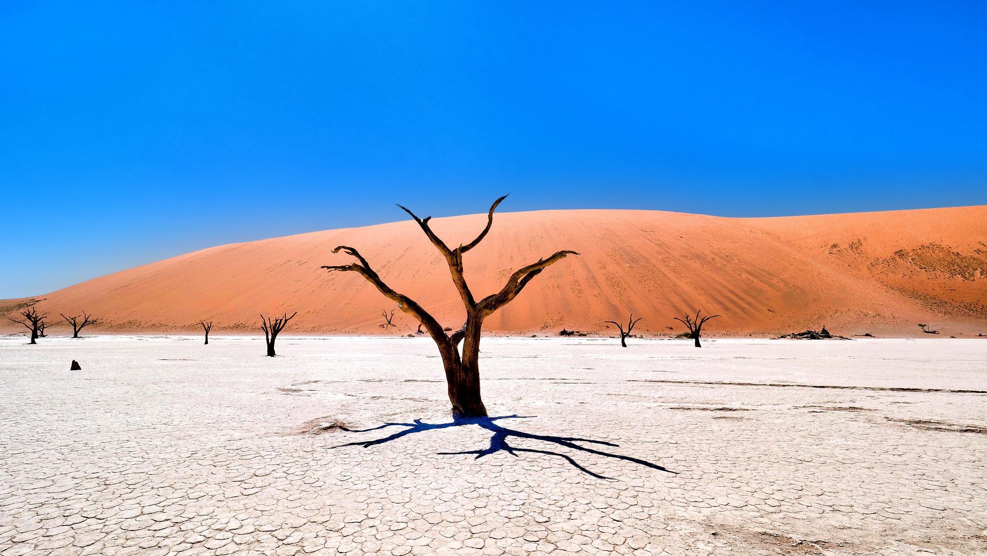 Dead Vlei