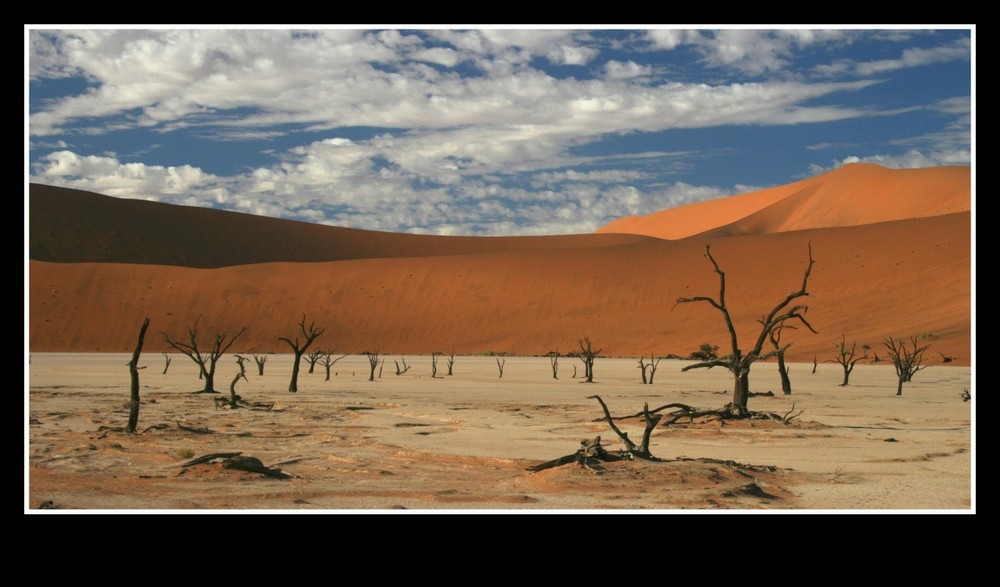 Dead Vlei