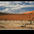 Dead Vlei